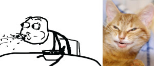 cereal_guy_and_troll_cat